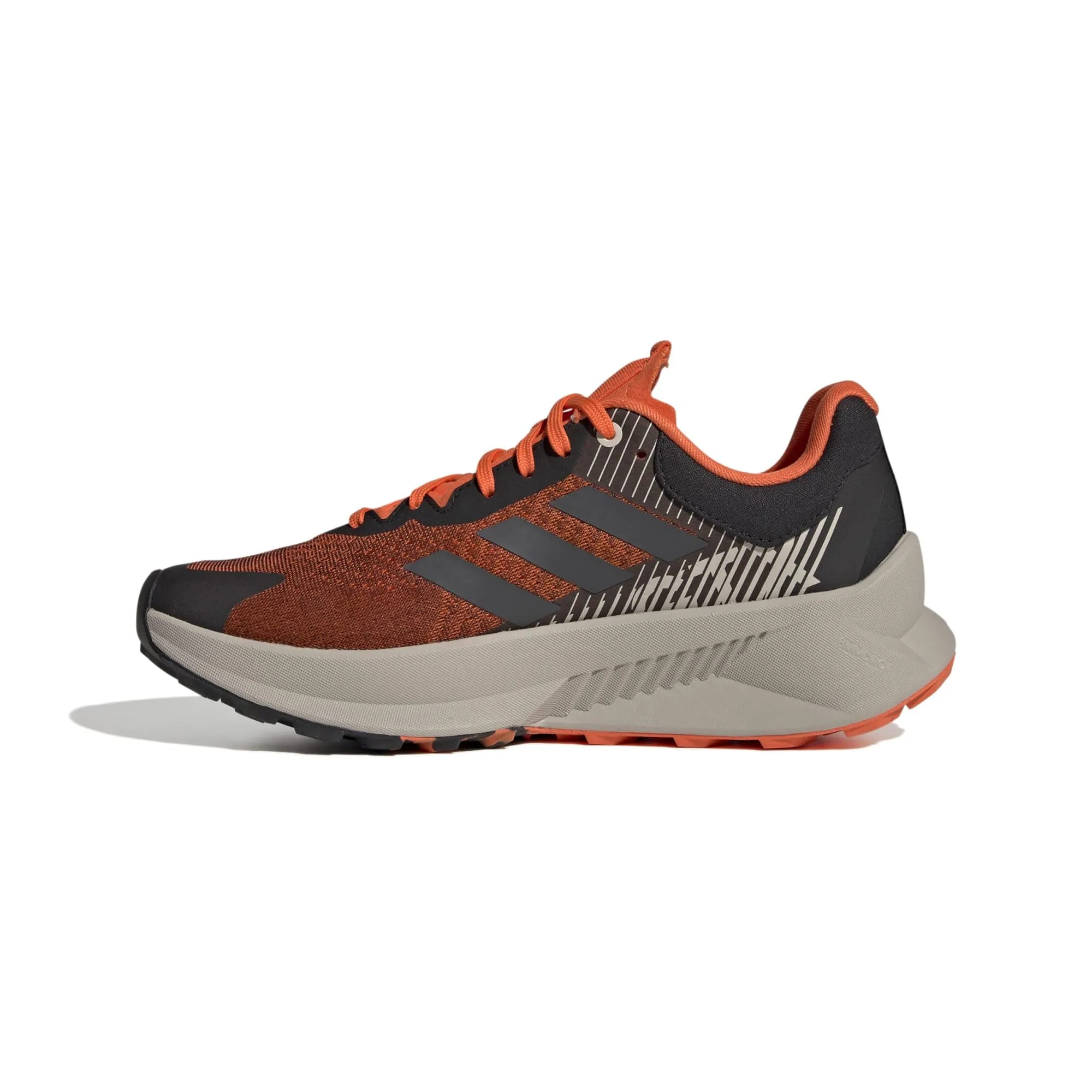 adidas Outdoor Terrex SoulStride Flow GORE-TEX